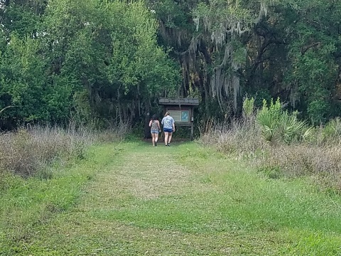 Lake Jesup Conservation Area