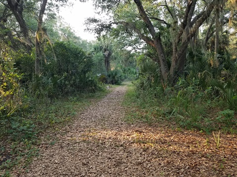 Lake Jesup Conservation Area