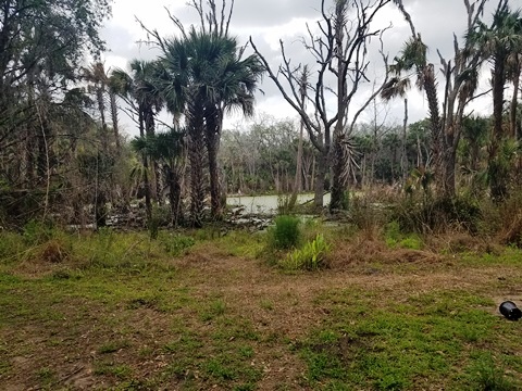 Lake Jesup Conservation Area