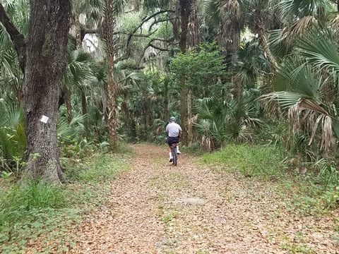 Lake Jesup Conservation Area