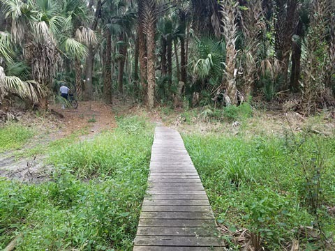 Lake Jesup Conservation Area