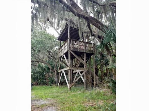 Lake Jesup Conservation Area