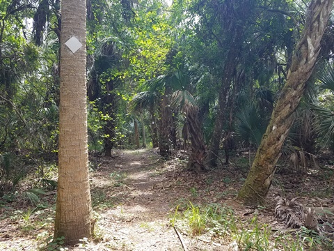 Lake Jesup Conservation Area