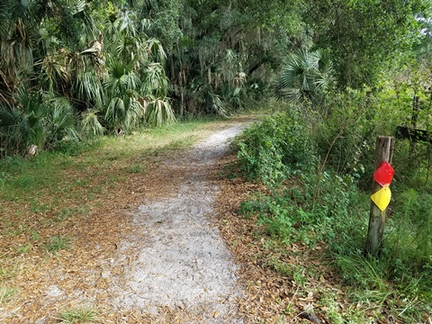 Lake Jesup Conservation Area