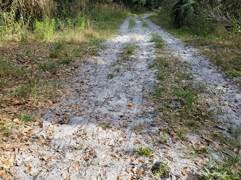 Lake Jesup Conservation Area