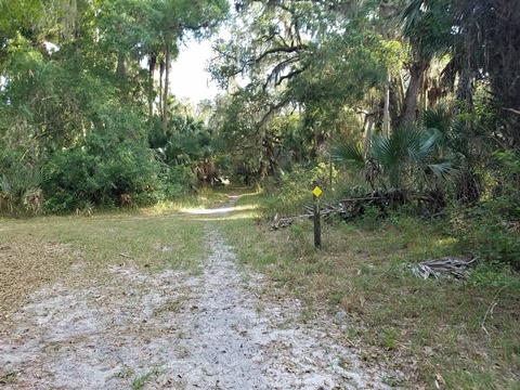 Lake Jesup Conservation Area