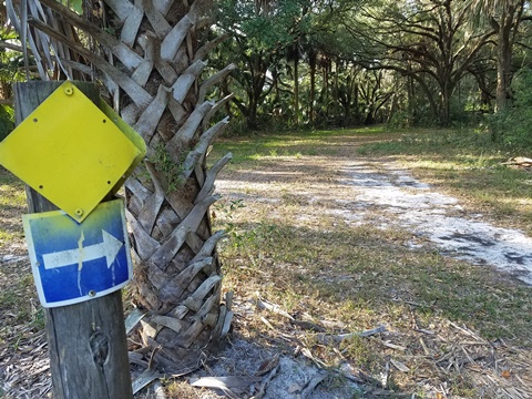 Lake Jesup Conservation Area