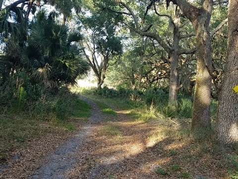 Lake Jesup Conservation Area