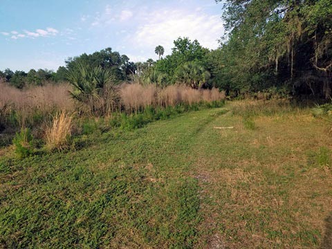 Lake Jesup Conservation Area