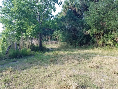 Lake Jesup Conservation Area