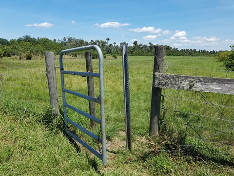 Lake Jesup Conservation Area