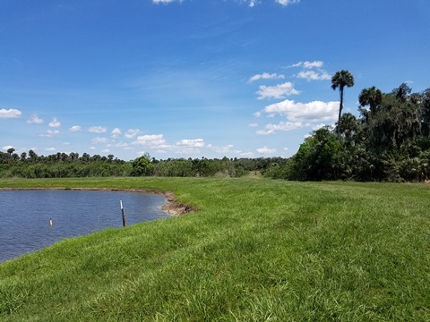 Lake Jesup Conservation Area