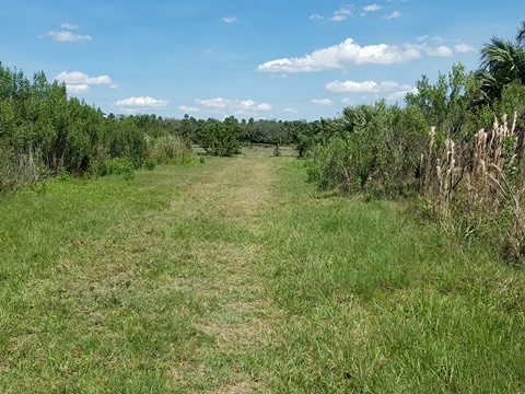 Lake Jesup Conservation Area