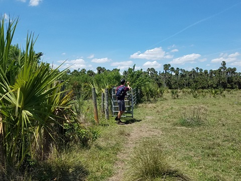 Lake Jesup Conservation Area