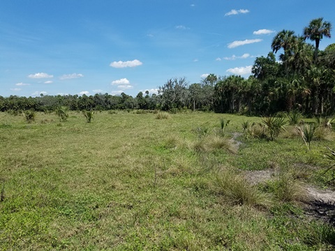 Lake Jesup Conservation Area