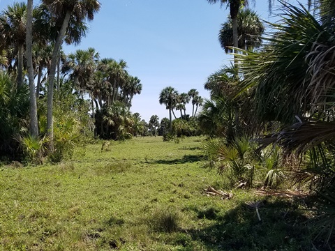 Lake Jesup Conservation Area