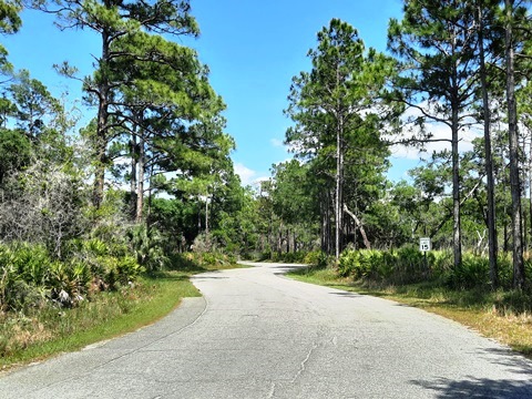 Lake Kissimeee State Park, Florida eco-hiking