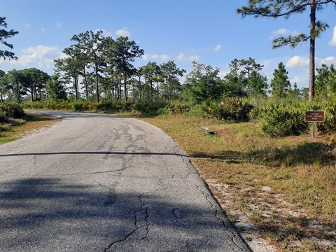 Lake Kissimeee State Park, Florida eco-hiking