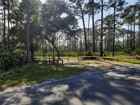 Lake Kissimeee State Park, Florida eco-hiking