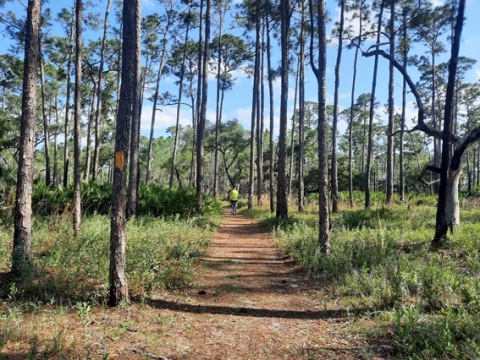 Lake Kissimeee State Park, Florida eco-hiking