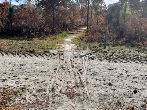 Lake Kissimeee State Park, Florida eco-hiking