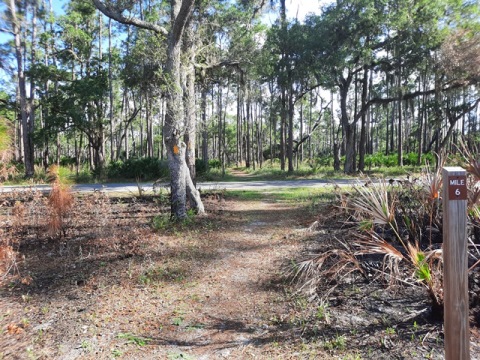 Lake Kissimeee State Park, Florida eco-hiking