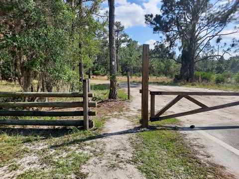 Lake Kissimeee State Park, Florida eco-hiking