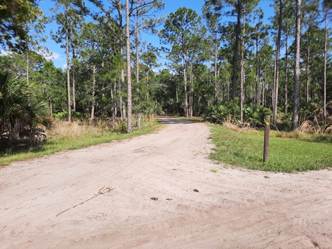 Lake Kissimeee State Park, Florida eco-hiking