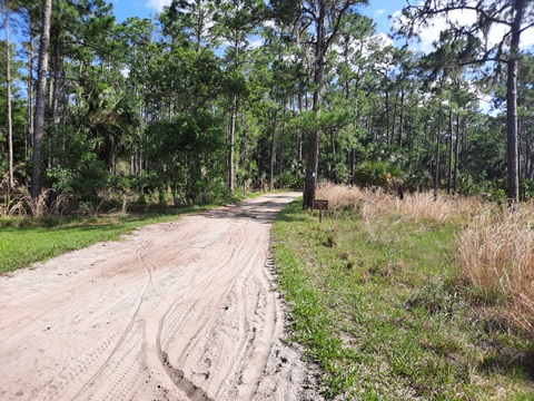 Lake Kissimeee State Park, Florida eco-hiking