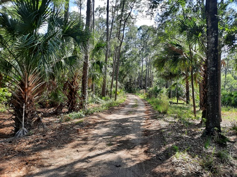 Lake Kissimeee State Park, Florida eco-hiking