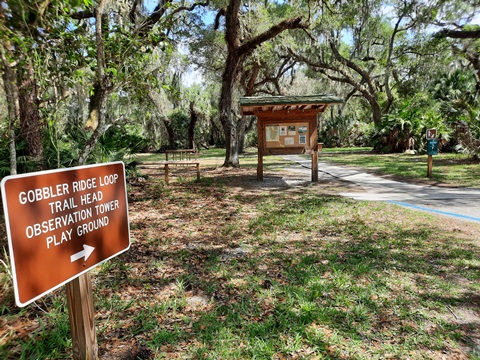 Lake Kissimeee State Park, Florida eco-hiking