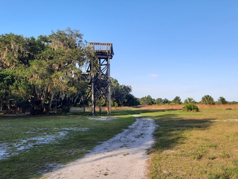 Lake Kissimeee State Park, Florida eco-hiking