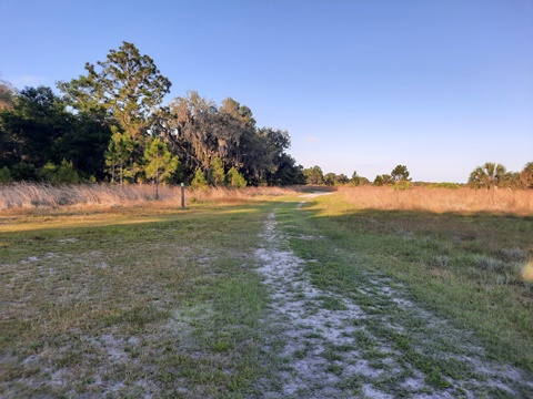 Lake Kissimeee State Park, Florida eco-hiking