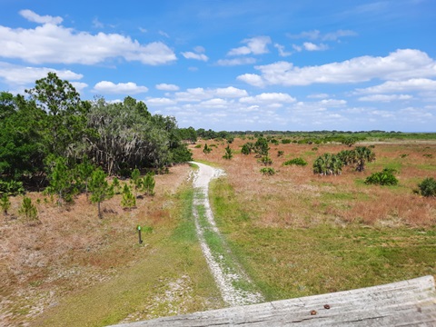 Lake Kissimeee State Park, Florida eco-hiking