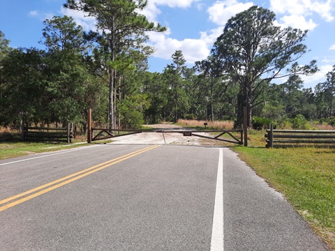 Lake Kissimeee State Park, Florida eco-hiking