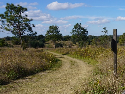 Lake Louisa State Park