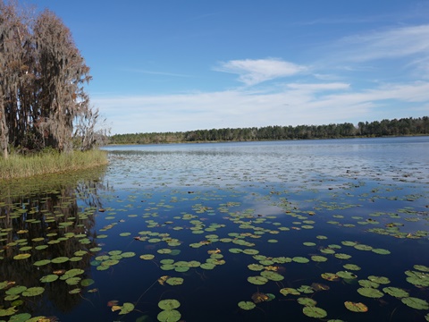 Lake Louisa State Park