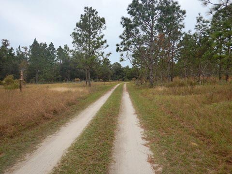 Lake Louisa State Park