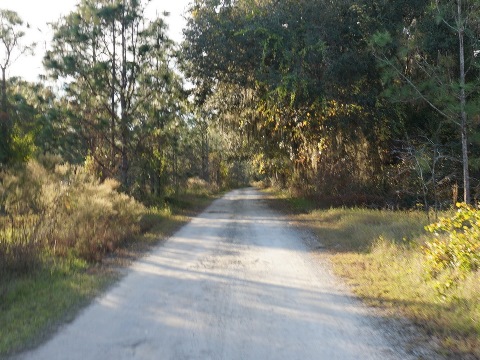 Lake Louisa State Park