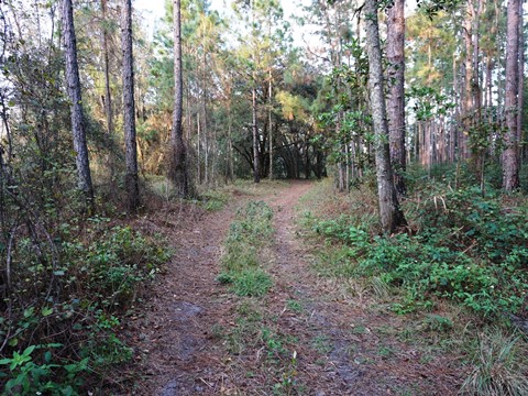 Lake Louisa State Park