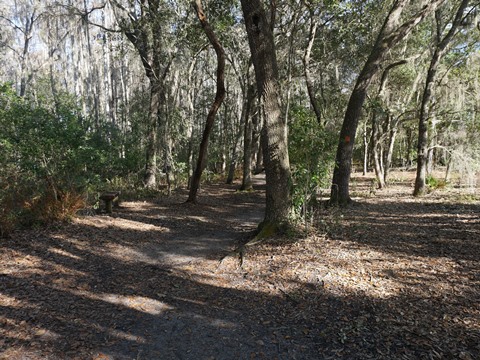 Lake Louisa State Park