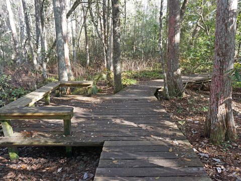 Lake Louisa State Park