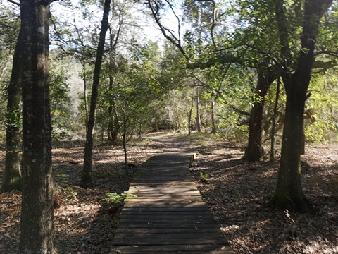 Lake Louisa State Park