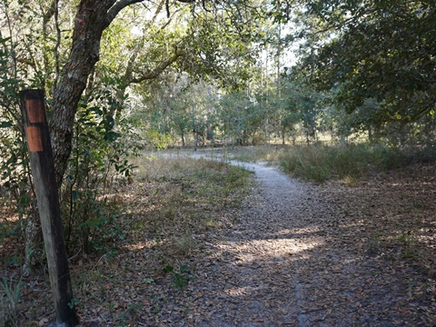 Lake Louisa State Park