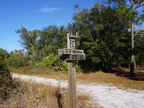 Lake Louisa State Park