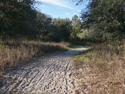 Lake Louisa State Park