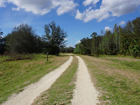 Lake Norris Conservation Area