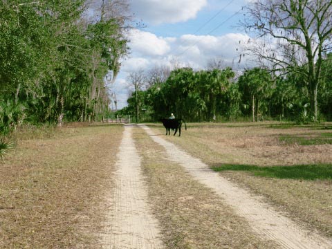 Lake Norris Conservation Area