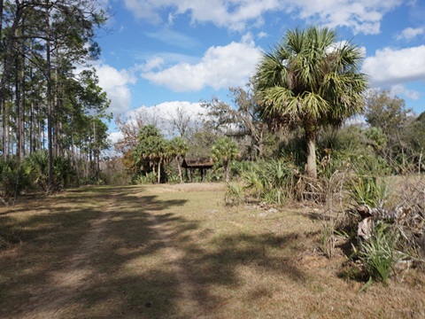 Lake Norris Conservation Area