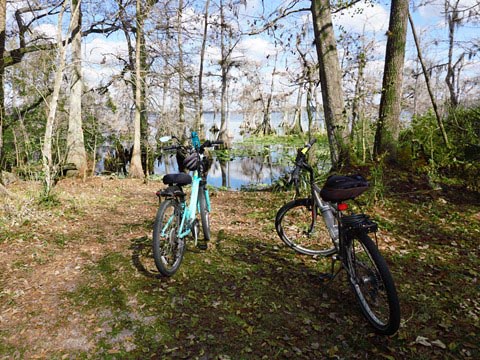 Lake Norris Conservation Area